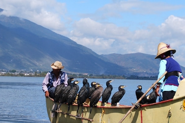 fatorypress best theme